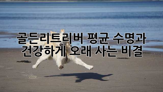 383a14b2fccaa13fefde525b9e10cad1.jpg
