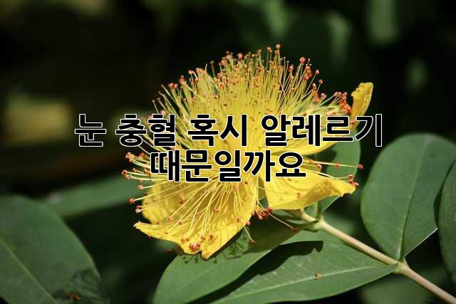 42cbe5c36fe3dfb29fb6e972812acd6b.jpg