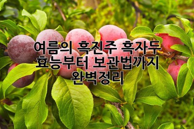 여름의 흑진주💎 흑자두 효능부터 보관법까지 완벽정리!