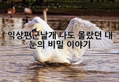 익상편군날개? 나도 몰랐던 내 눈의 비밀 이야기 👀