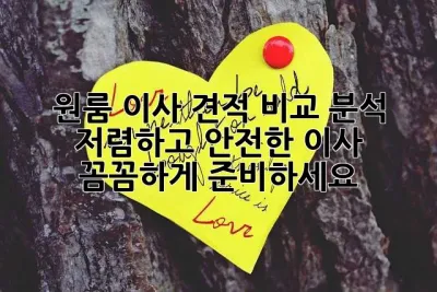 원룸 이사 견적 비교 분석 : 저렴하고 안전한 이사, 꼼꼼하게 준비하세요!
