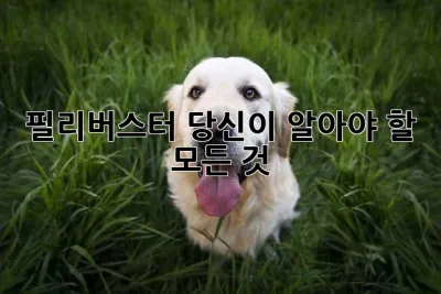 필리버스터: 당신이 알아야 할 모든 것