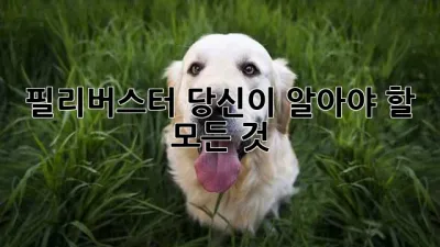 필리버스터: 당신이 알아야 할 모든 것