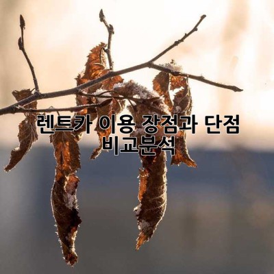 렌트카 이용, 장점과 단점 비교분석!