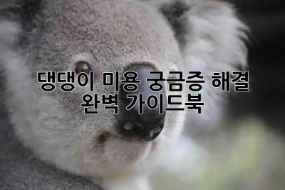 🐶 댕댕이 미용 궁금증 해결! 완벽 가이드북 ✂️