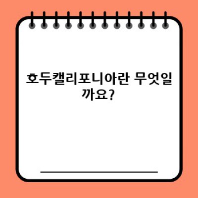 2024년 최신 정보! 호두캘리포니아: 깐깐하게 따져보는 효능, 부작용, 그리고 선택 가이드