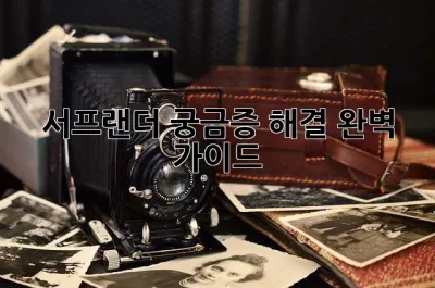 서프랜더: 궁금증 해결 완벽 가이드