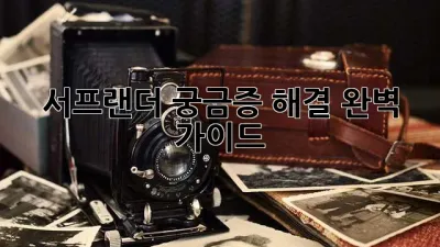서프랜더: 궁금증 해결 완벽 가이드