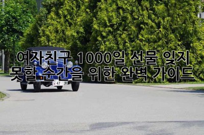 여자친구 1000일 선물: 잊지 못할 순간을 위한 완벽 가이드