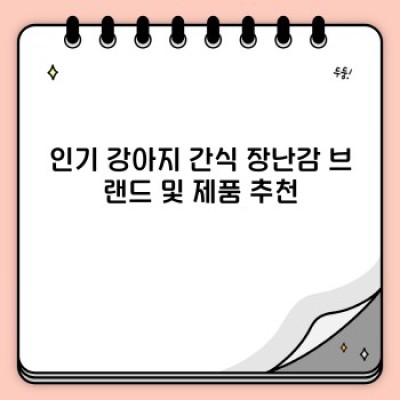 강아지 간식 장난감: 스마트한 선택으로 행복한 댕댕이 만들기