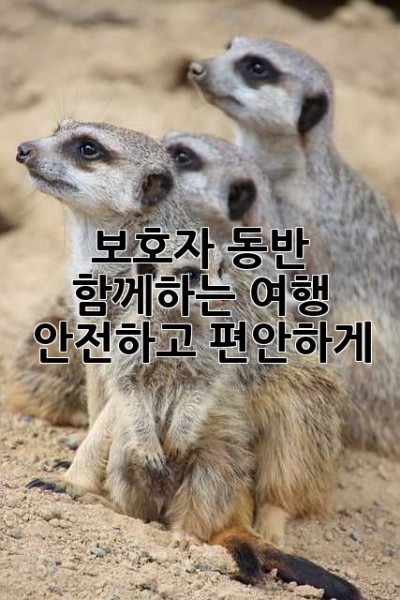 보호자 동반: 함께하는 여행, 안전하고 편안하게