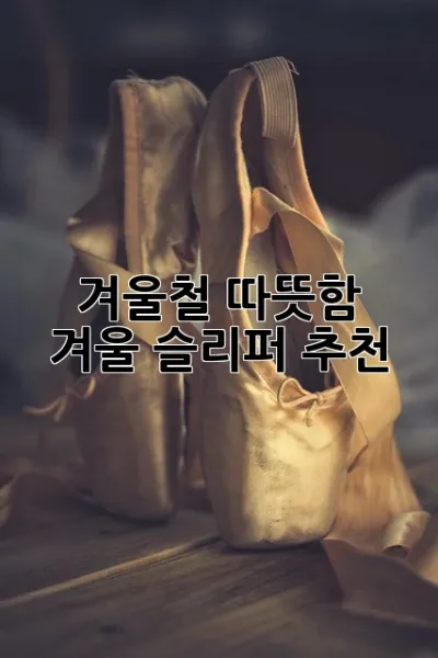 겨울철 따뜻함, 겨울 슬리퍼 추천