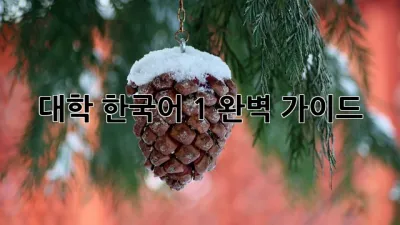 대학 한국어 1: 완벽 가이드