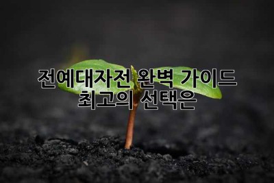 전예대자전 완벽 가이드: 최고의 선택은?