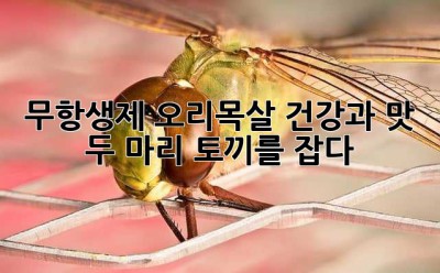 무항생제 오리목살: 건강과 맛, 두 마리 토끼를 잡다!