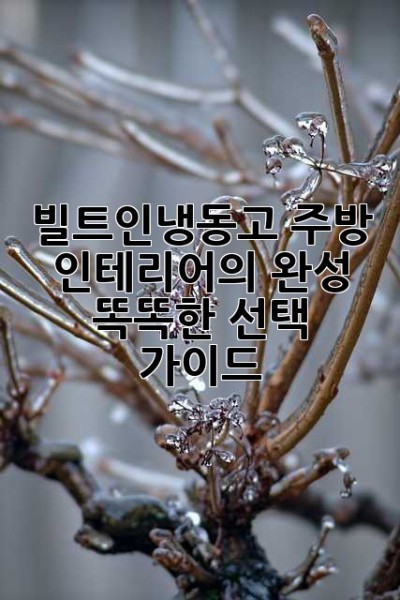 빌트인냉동고: 주방 인테리어의 완성, 똑똑한 선택 가이드