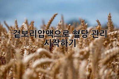 겉보리압맥으로 혈당 관리 시작하기
