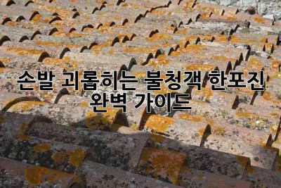 🖐️ 손발 괴롭히는 불청객, 한포진 완벽 가이드 🔍