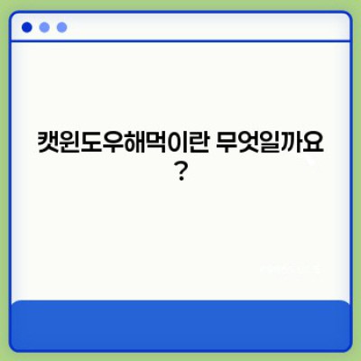 캣윈도우해먹 완벽 가이드: 고양이 행복을 위한 최고의 선택? 종류, 장단점, 설치법까지!