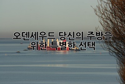 오덴세우드: 당신의 주방을 위한 특별한 선택