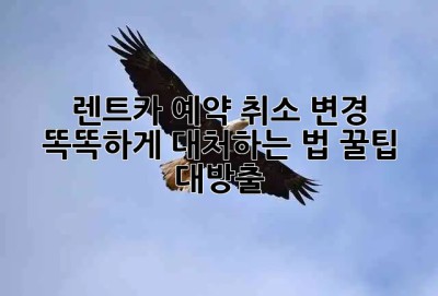 🚗 렌트카 예약 취소, 변경? 똑똑하게 대처하는 법! 꿀팁 대방출 🍯
