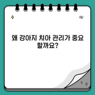 강아지 치아 건강 완벽 가이드: 치주염 예방부터 치석 제거까지!
