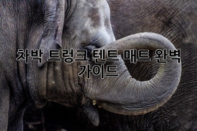 차박 트렁크 텐트 매트 완벽 가이드