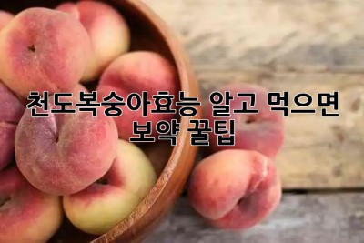 천도복숭아🍑효능 알고 먹으면 ✨보약✨ 꿀팁