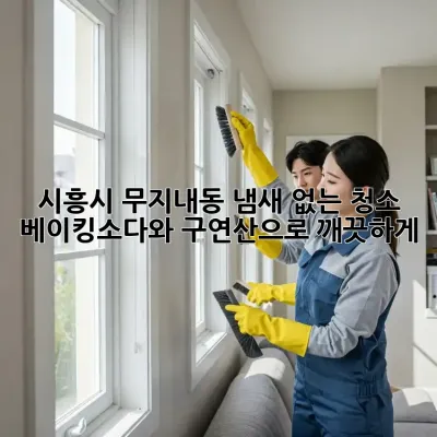 시흥시 무지내동 냄새 없는 청소: 베이킹소다와 구연산으로 깨끗하게!