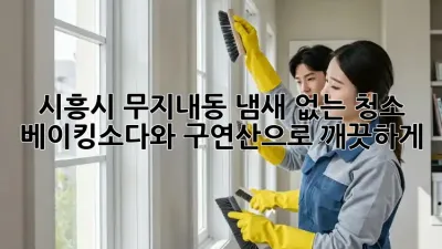 시흥시 무지내동 냄새 없는 청소: 베이킹소다와 구연산으로 깨끗하게!