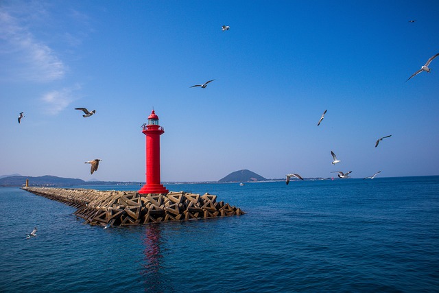 제주황게005.jpg